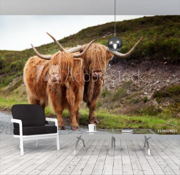 Bild på Scottish Cow V